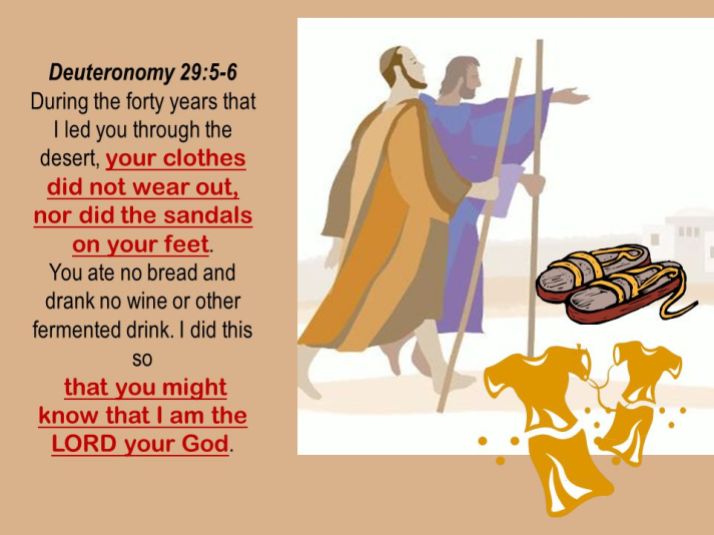 Deuteronomy 29:5-6 During the forty years that I led you through the desert, your clothes did not wear out, nor did the sandals on your feet. You ate no bread and drank no wine or other fermented drink. I did this so that you might know that I am the LORD your God. GRATSI Torah - Moses Farewell.
